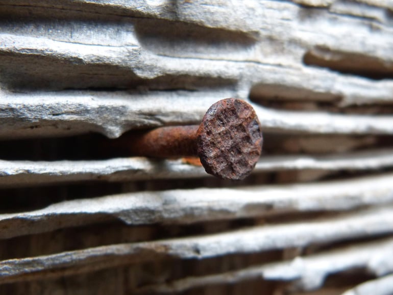 Not all nails need be pounded down – a tale of neurodiversity and tolerance.
